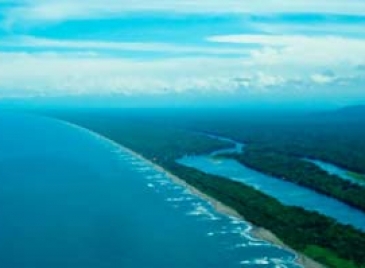 1 Overnight Tortuguero Package