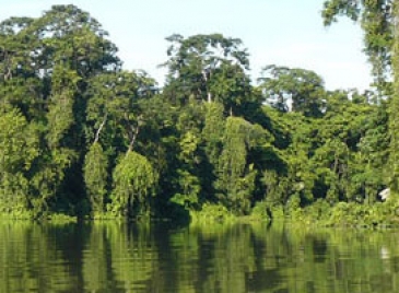 3 Days/2 Nights Tortuguero Package