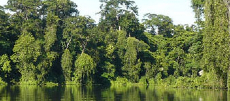 3 Days/2 Nights Tortuguero Package